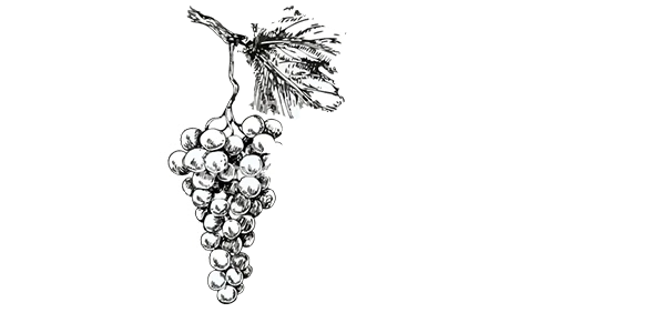 Logotipo Grupo Vitácea Brasil